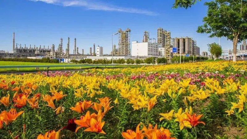 水性助剂批发，如何选择合适的产品？**